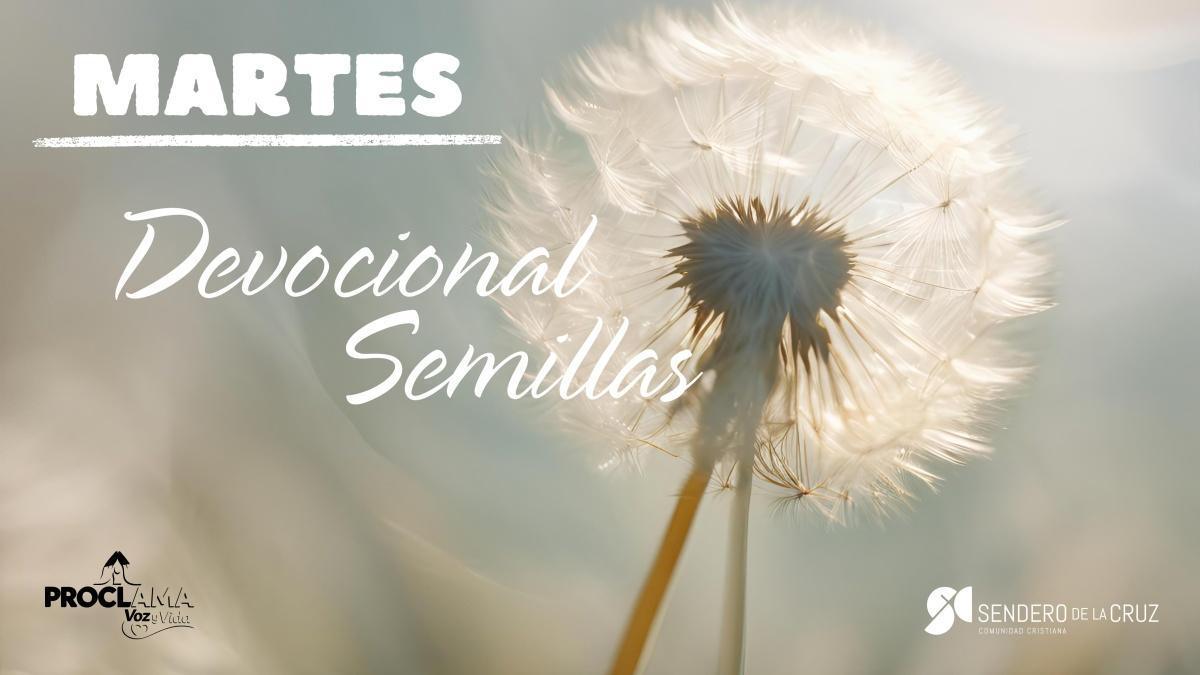 Devocional Semillas 19 de Mayo de 2026