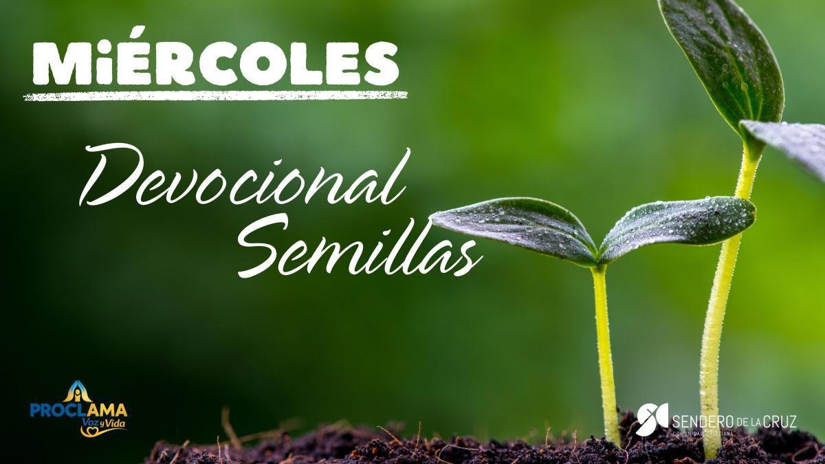 Devocional Semillas 3 de Junio de 2026