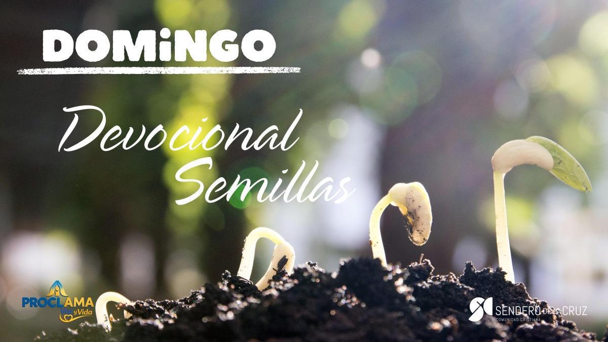 Devocional Semillas 7 de Junio de 2026 Devocional Semillas 7 de Junio de 2026