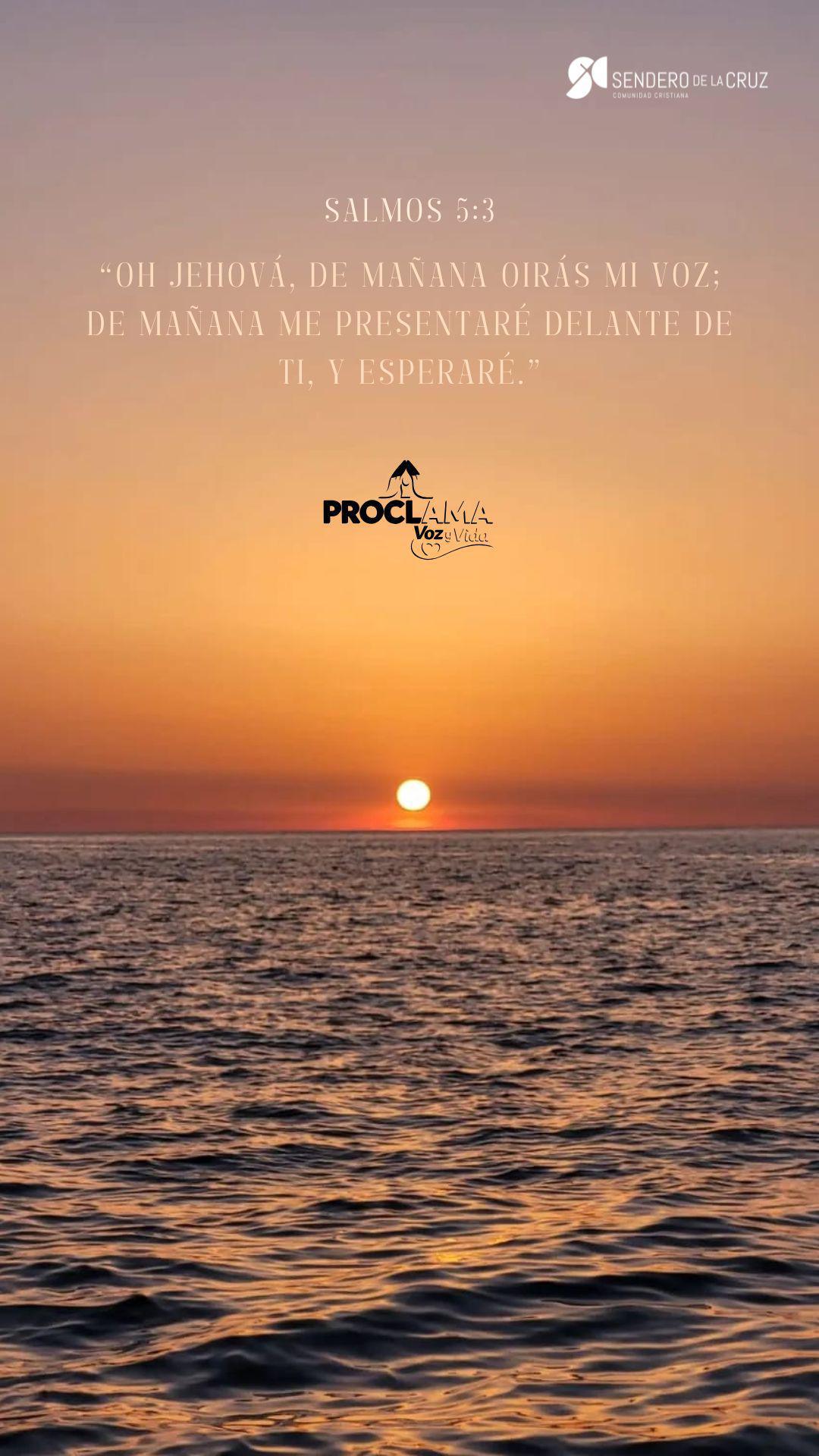 Fondo de pantalla