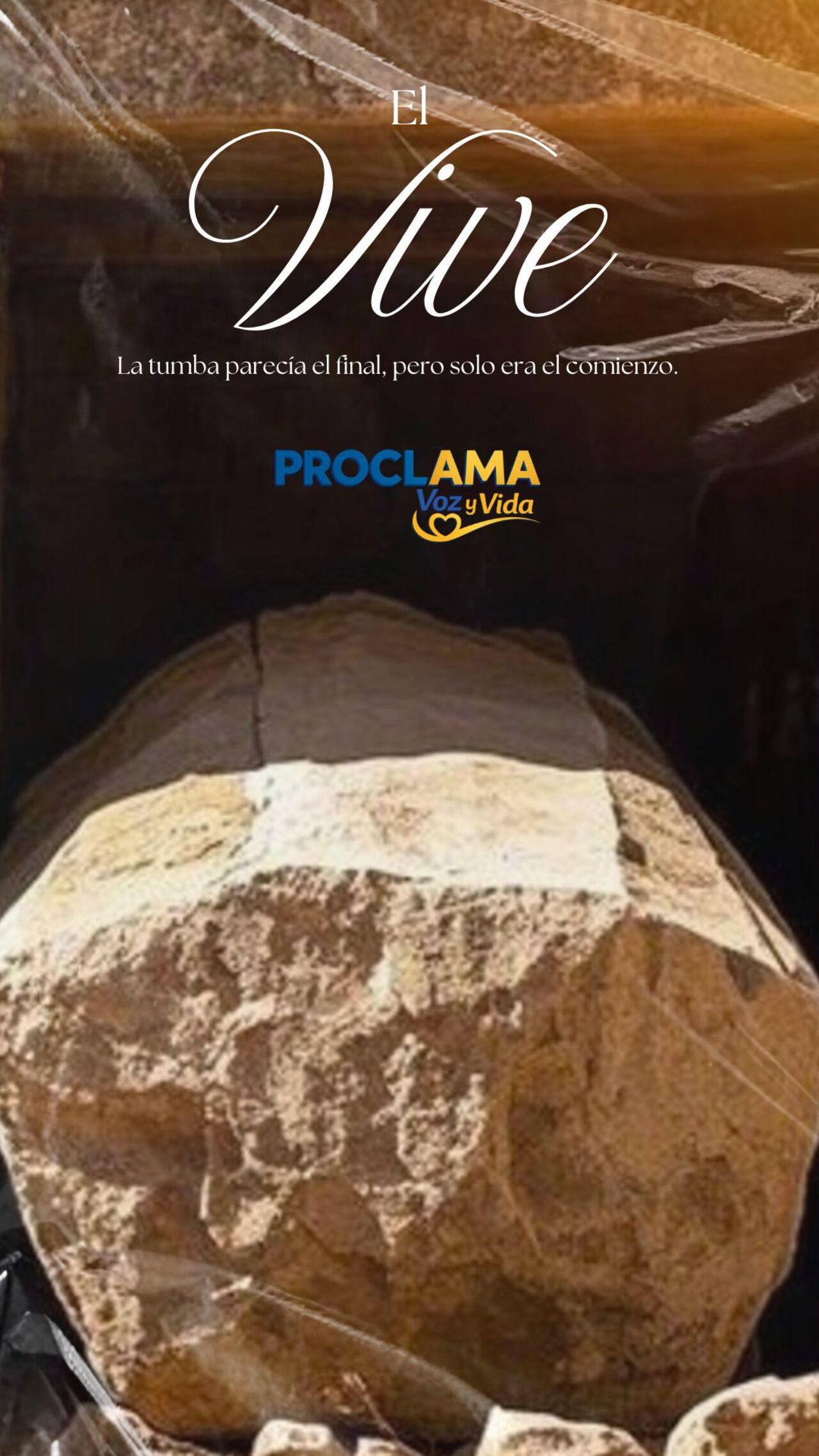 Fondo de pantalla
