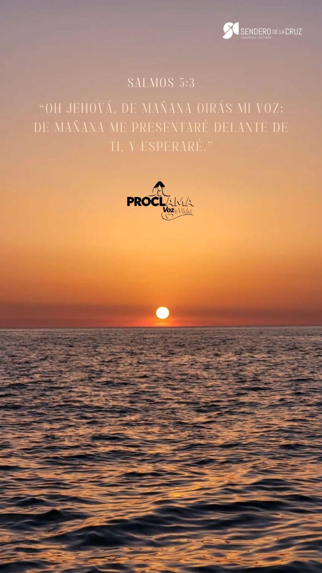 Fondo de pantalla