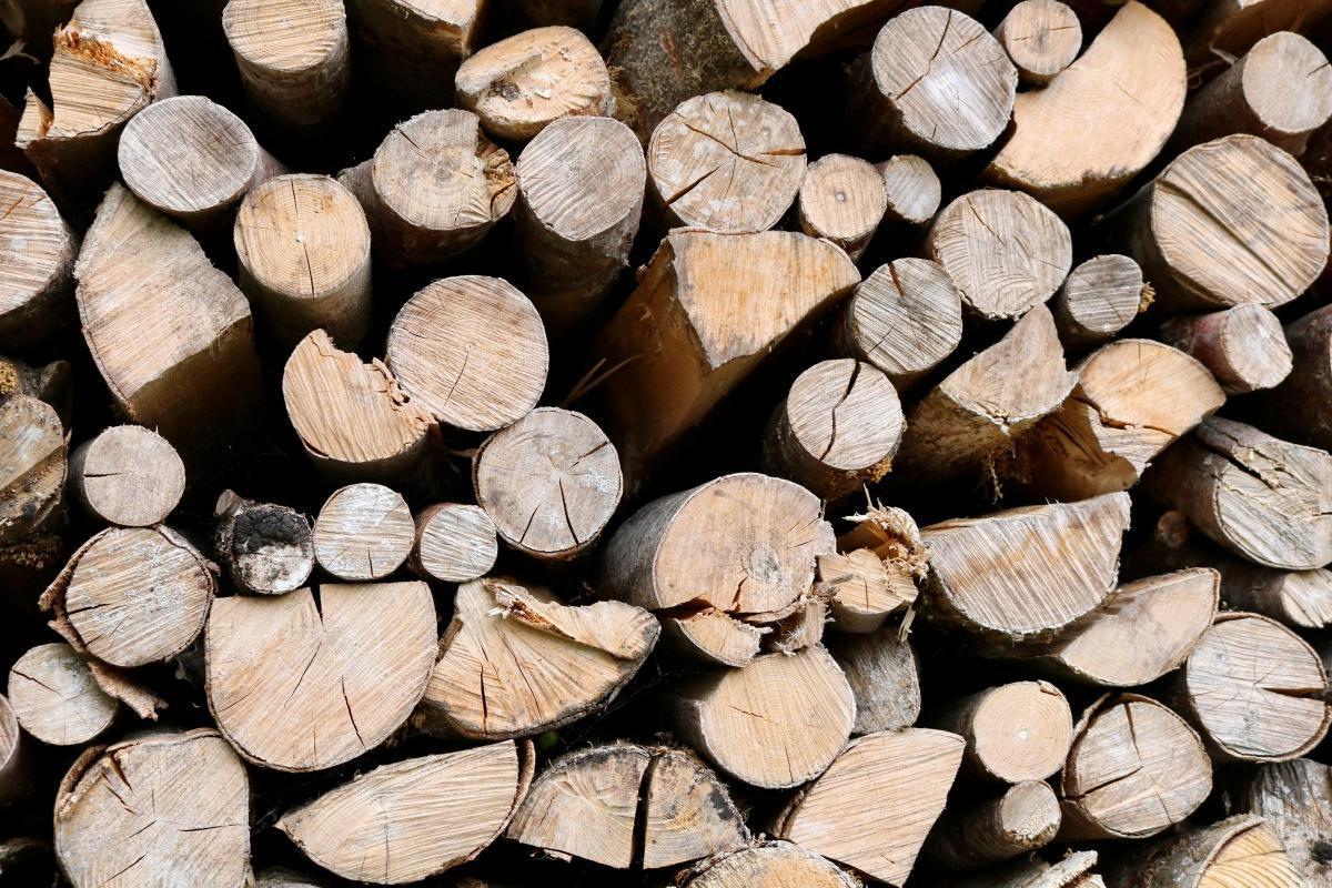 Recogida de leña en Orea 🌲 Recogida de leña en Orea 🌲