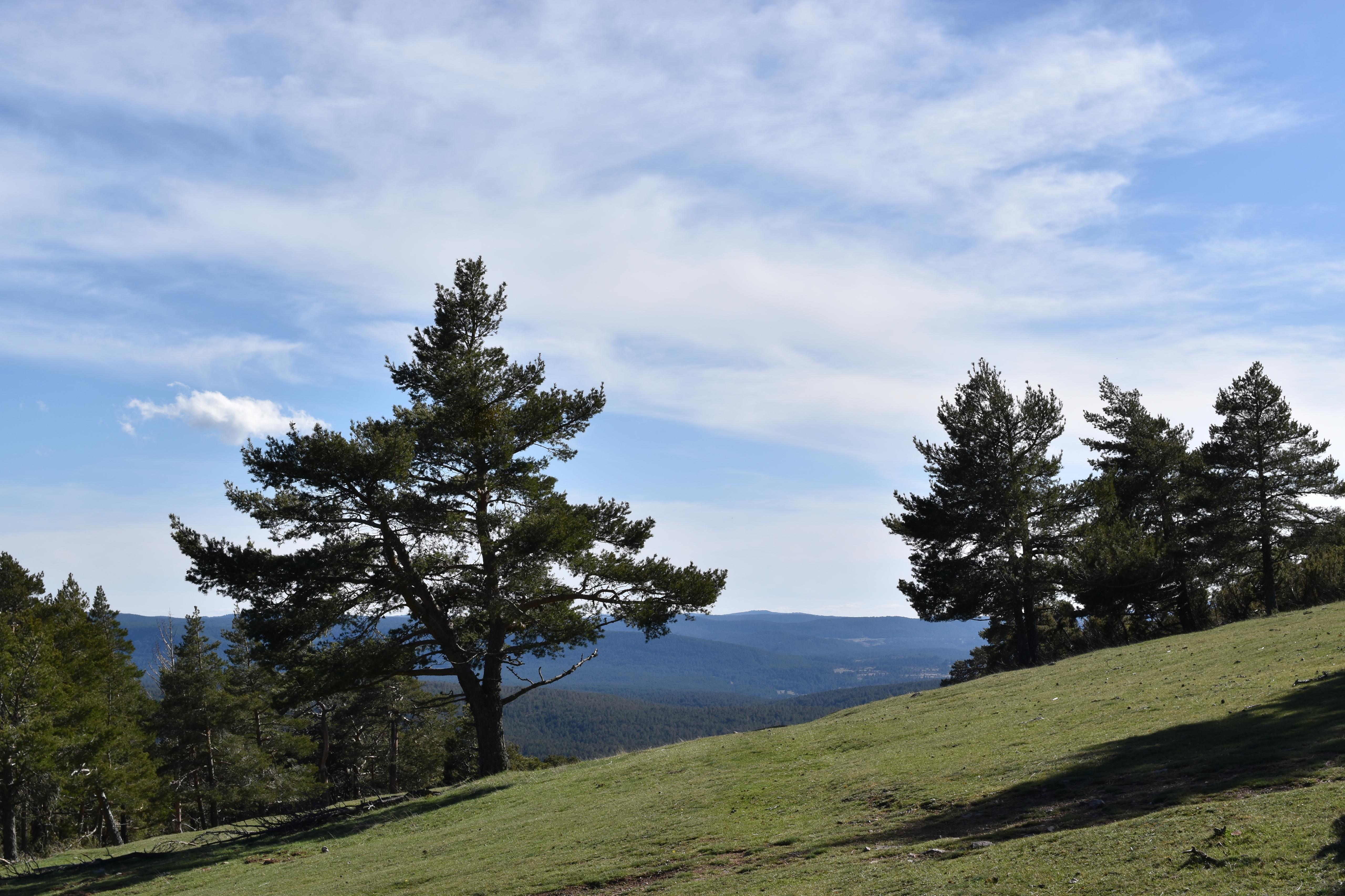 PRADERA SAN CRISTOBAL