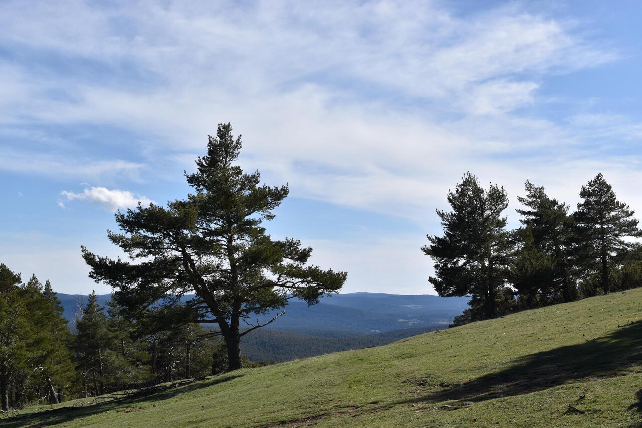 PRADERA SAN CRISTOBAL