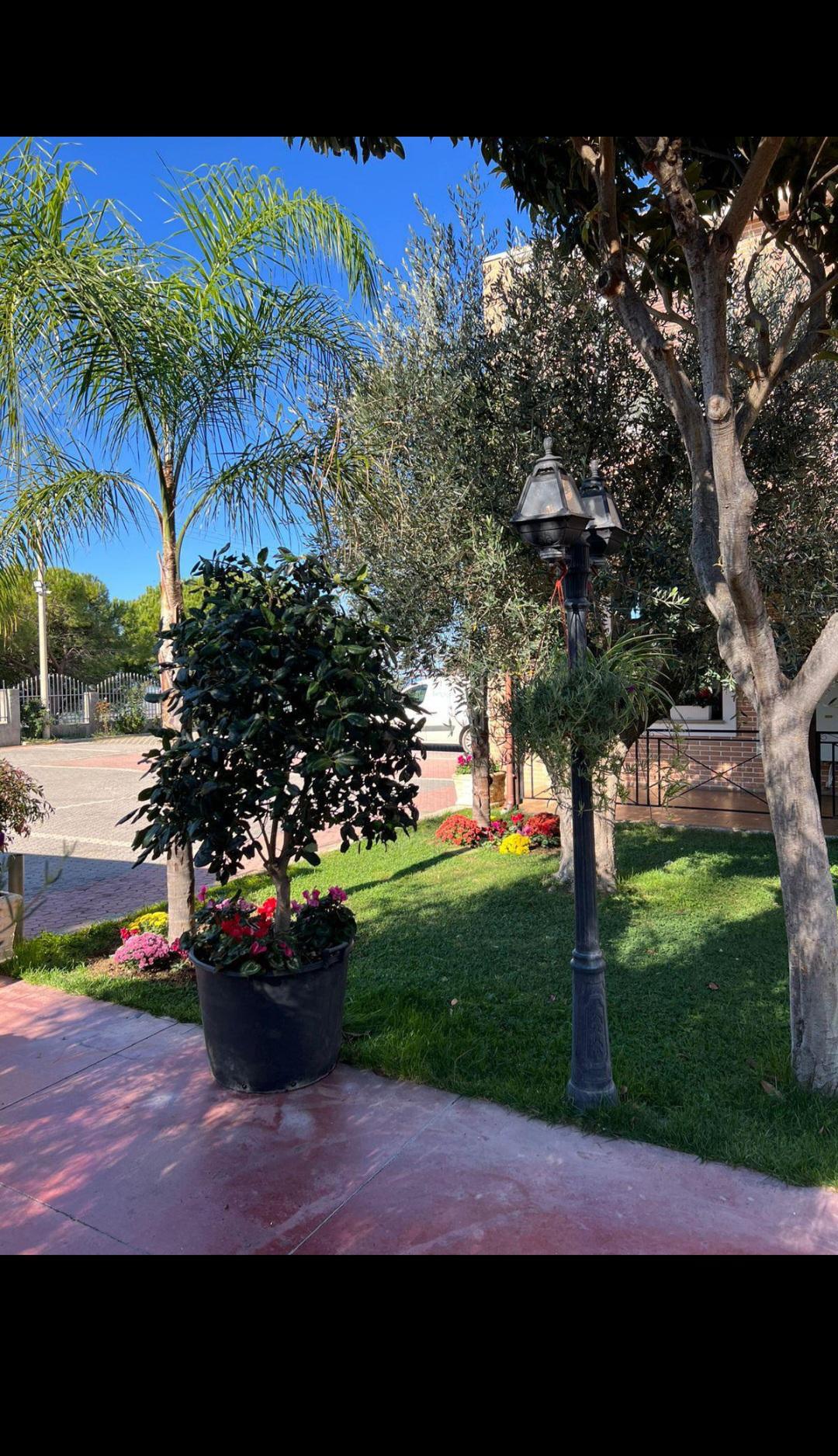 Ardenica Restaurant and Wine