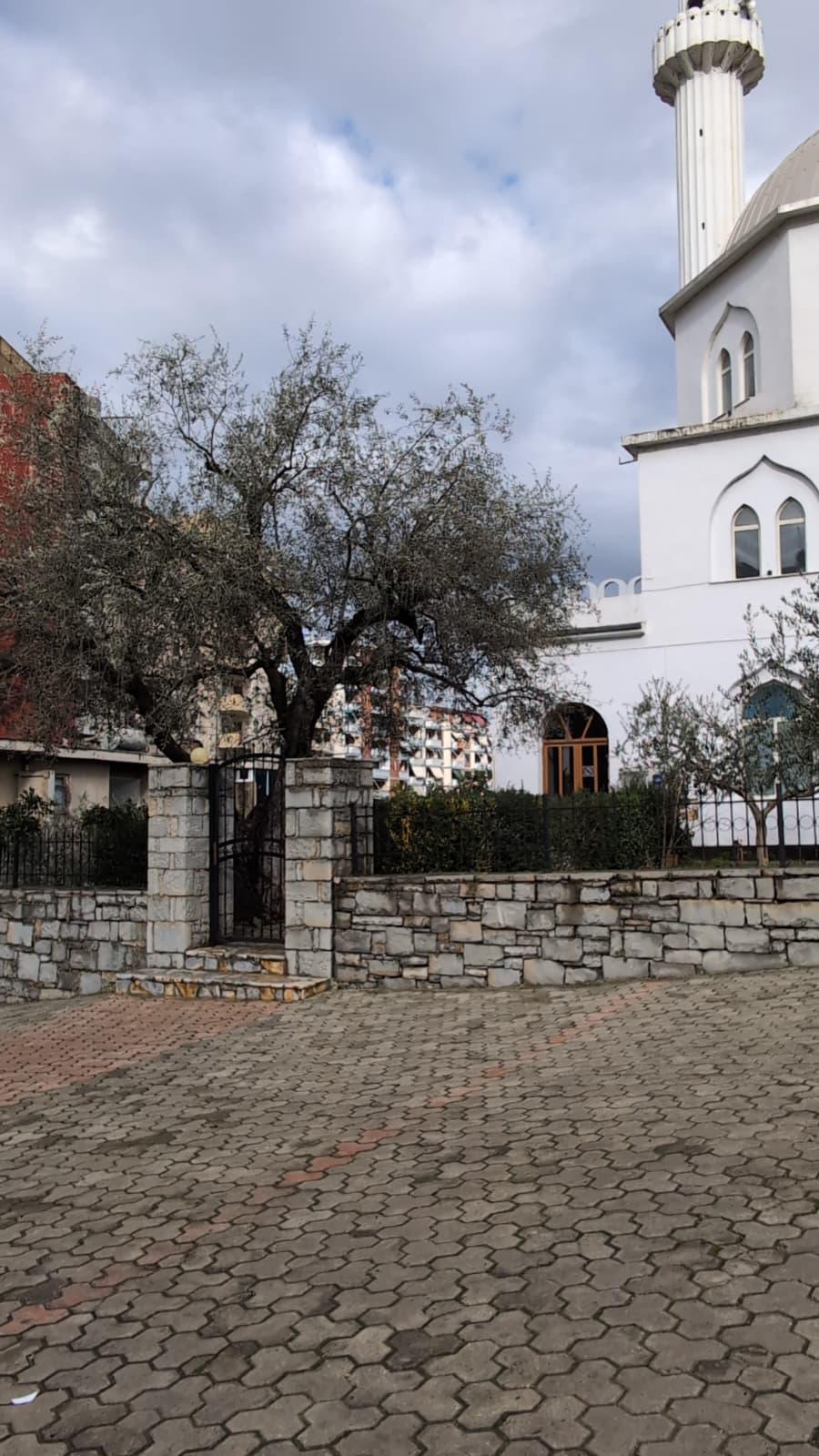 Xhamia e Lushnjes Xhamia e Lushnjes