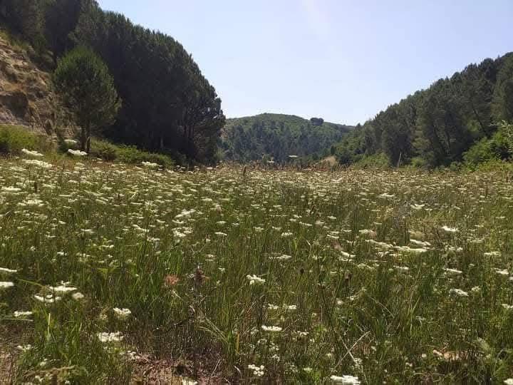 Liqeni i Vidzës në fshatin Lekaj Liqeni i Vidzës në fshatin Lekaj