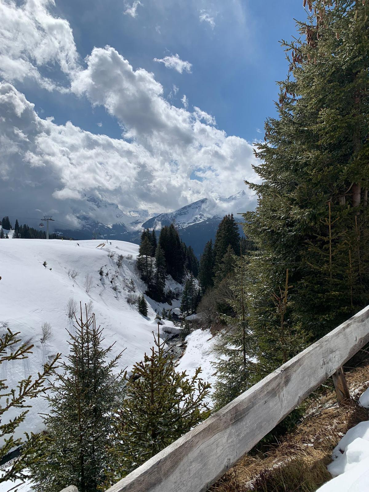 A la découverte des montagnes d'Hasliberg A la découverte des montagnes d'Hasliberg
