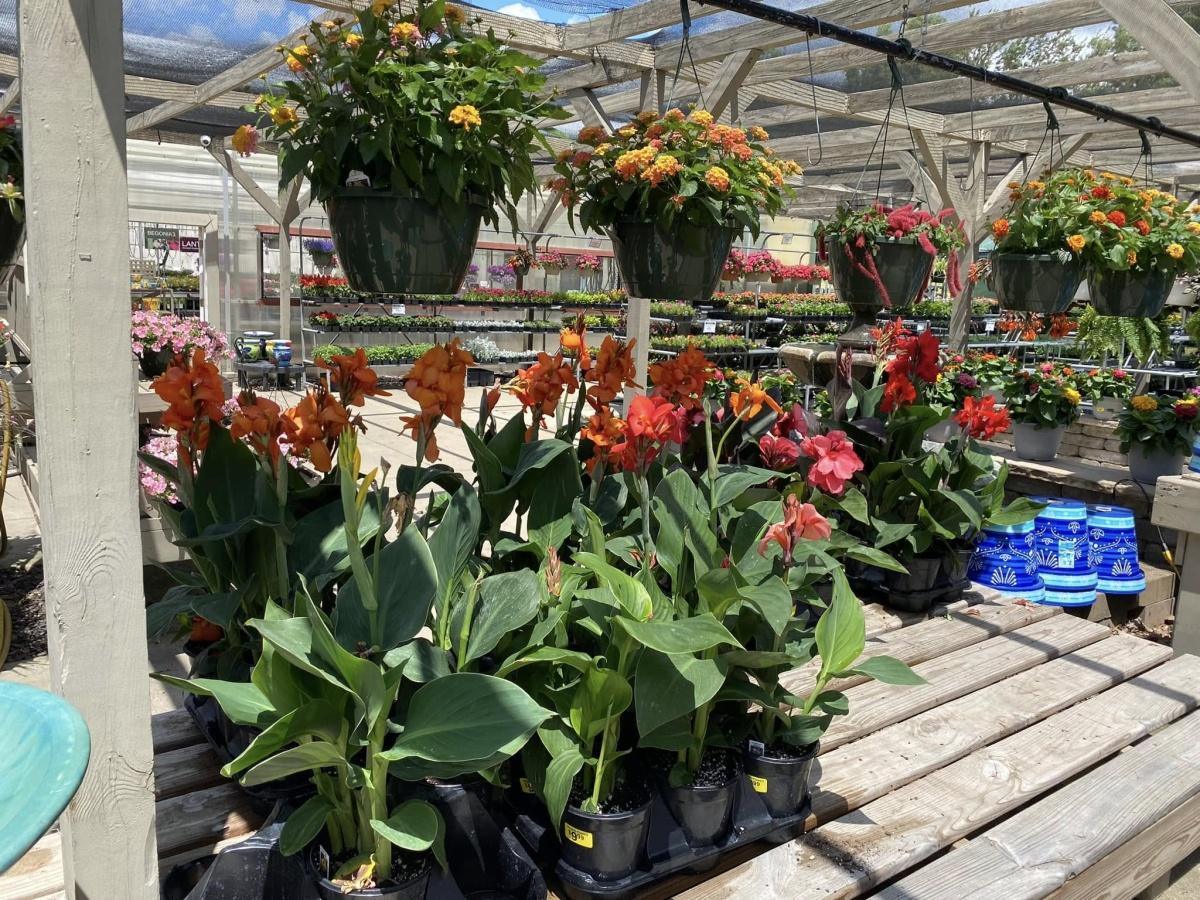Heights Flowers