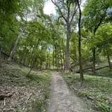 Pimiteoui Trail in Peoria Heights: What's Special About It?