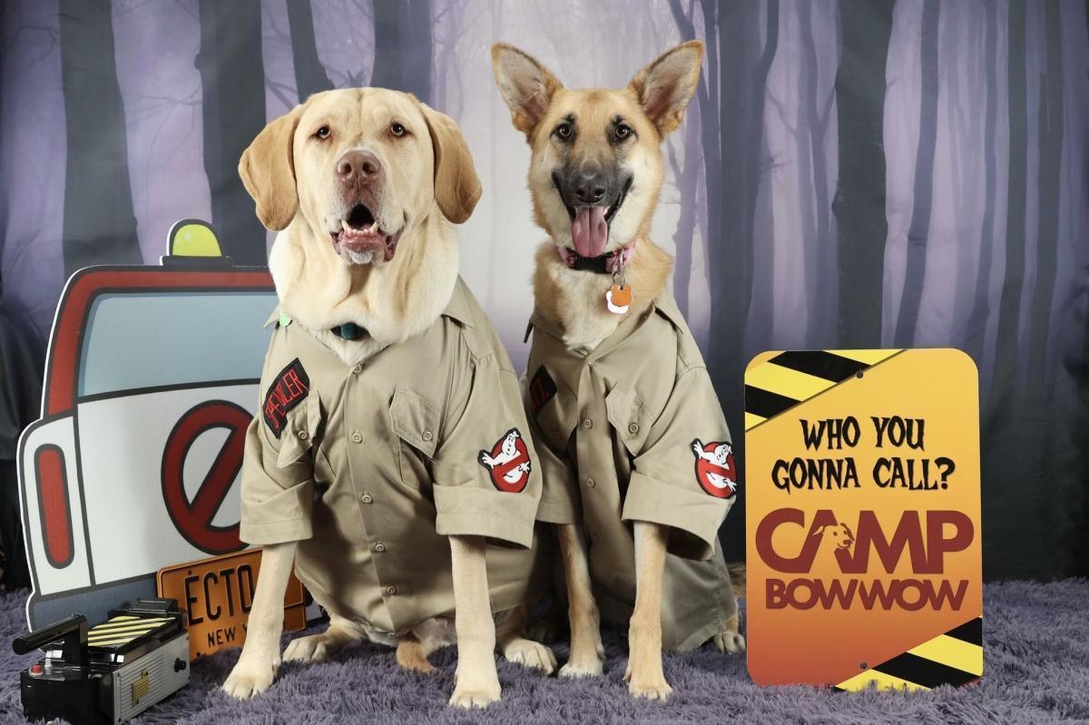 9th Annual Howl-o-Ween Pups and Pints at Pour Bros. in The Heights