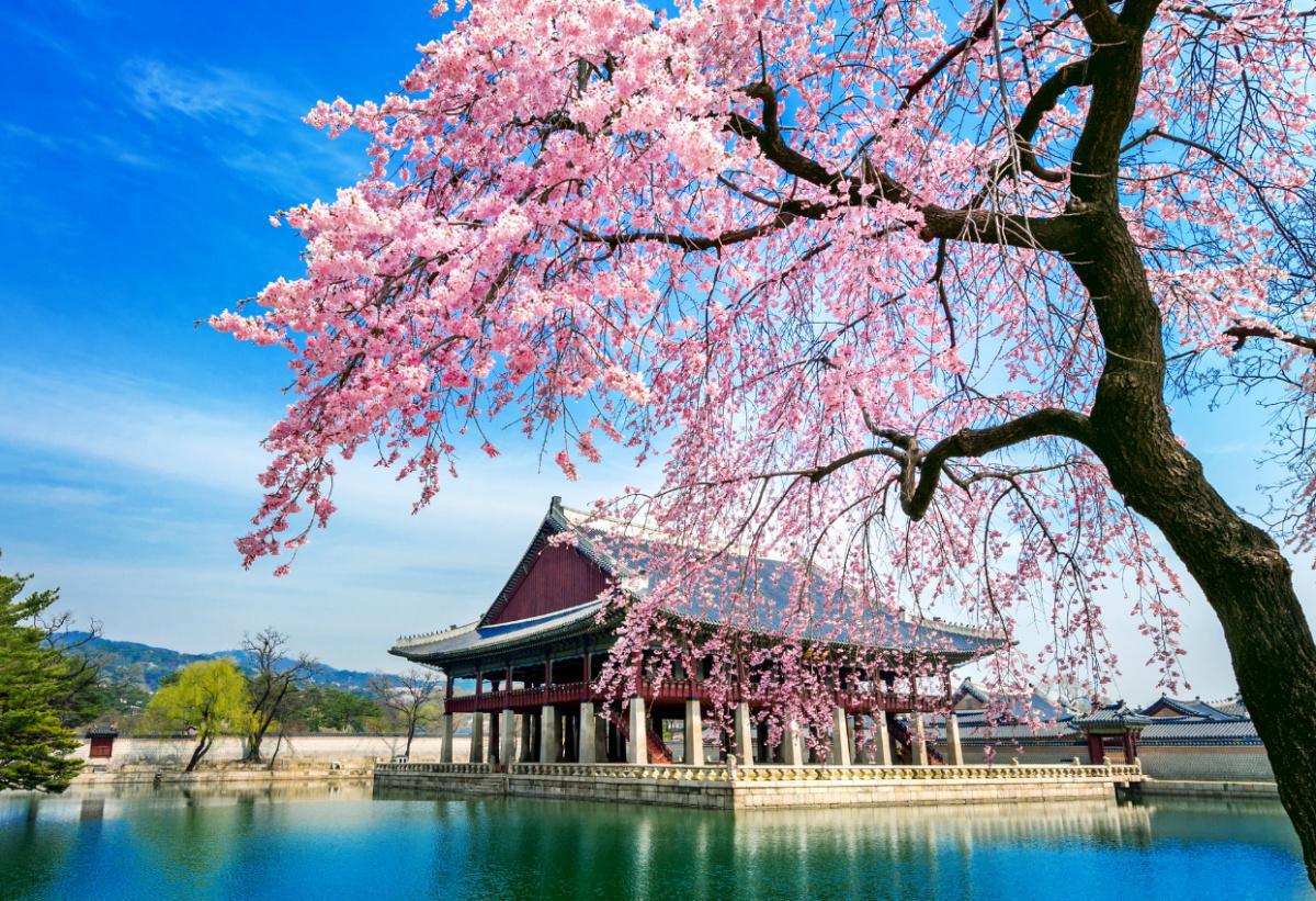 Gyeongbokgung Palace, le plus grand et le plus célèbre palais royal de la dynastie Joseon
