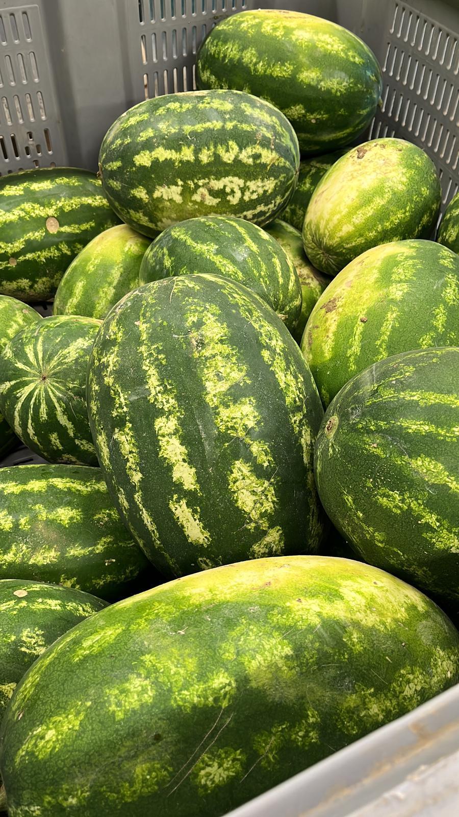 PHOTO-2026-02-19-17-18-44_1