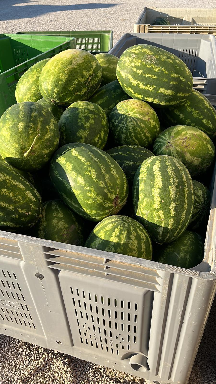 PHOTO-2026-02-19-17-18-44_2