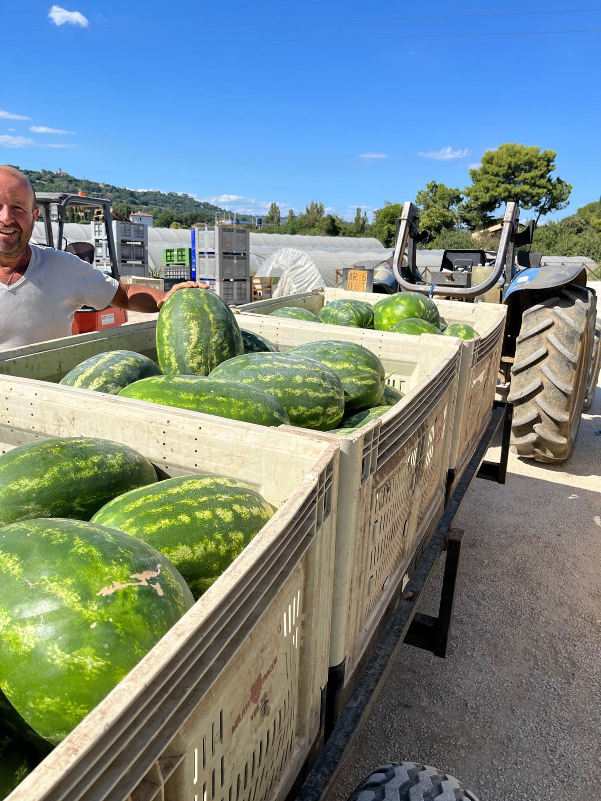 PHOTO-2026-02-19-17-18-44