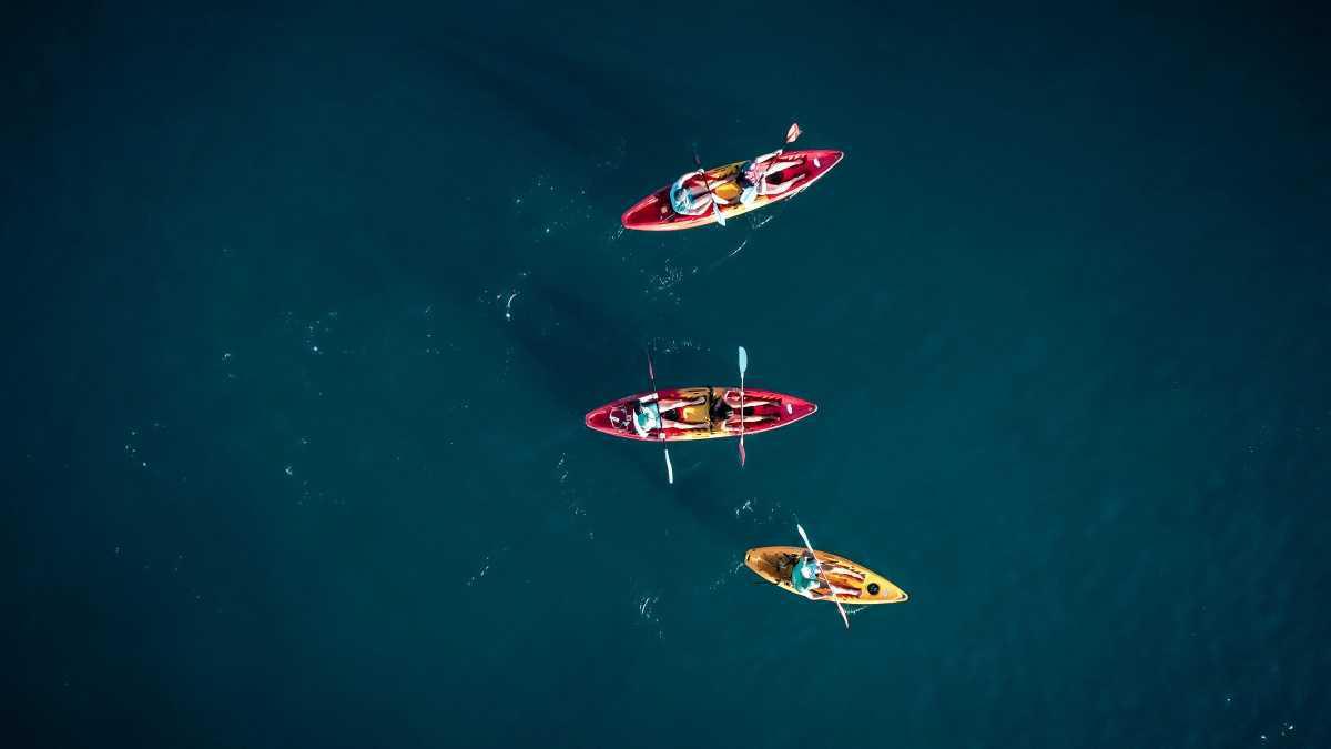 KAYAKING WITH DOLPHINS