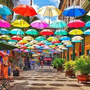 TASTE OF MAURITIUS TASTE OF MAURITIUS