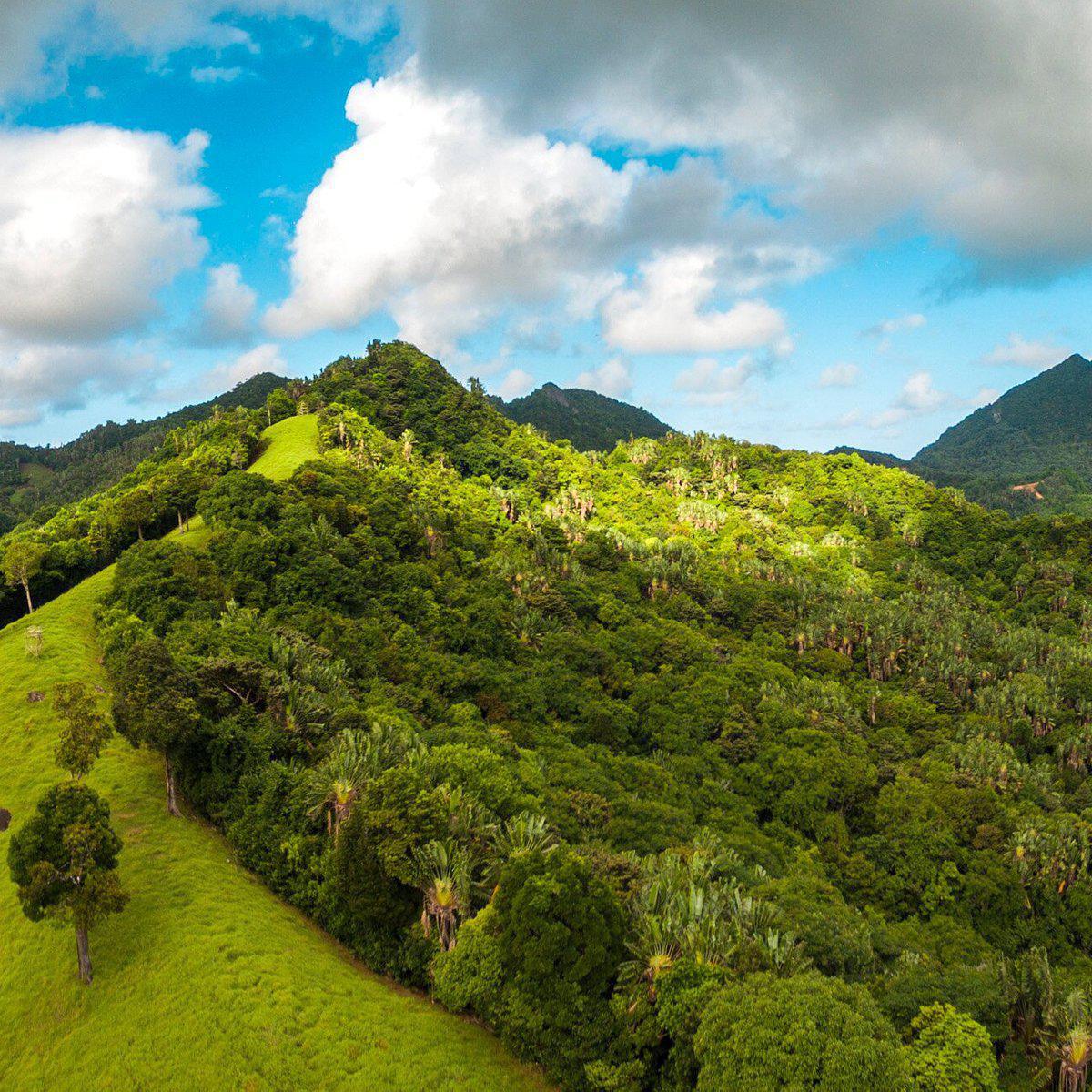 ILE MAURICE ECOLOGIQUE