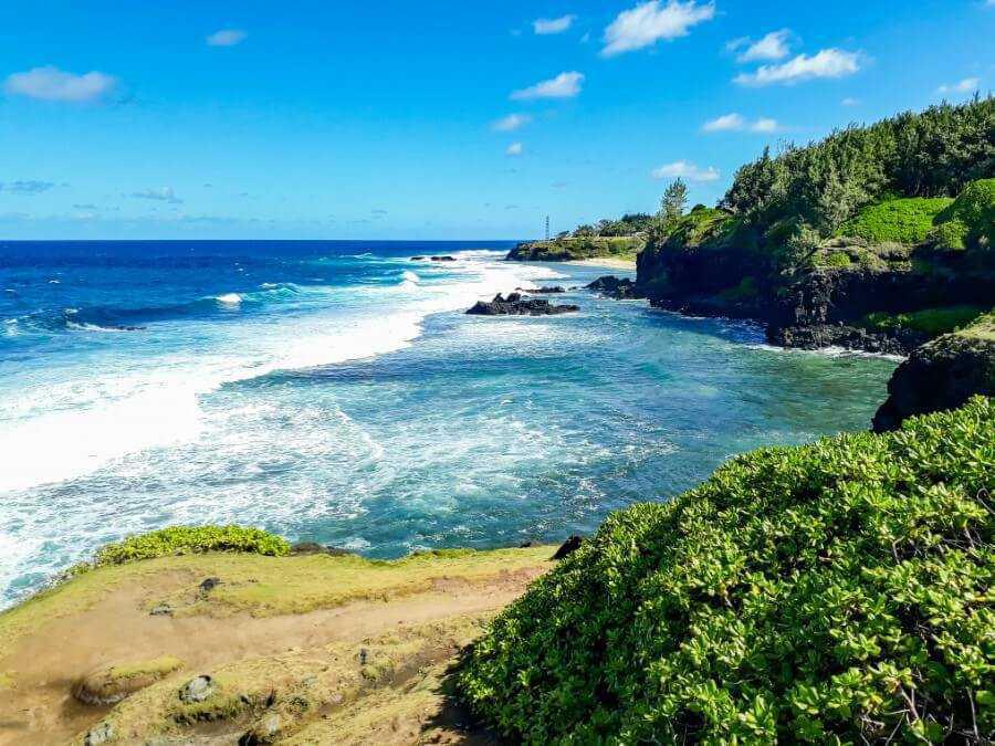 SERENI-TEA SERENI-TEA