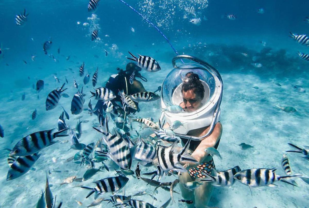 SUBMERGED SEA-CRETS&nbsp;