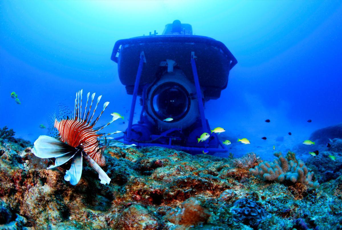 SUBMERGED SEA-CRETS&nbsp;