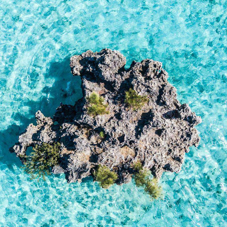 WEST – SPEED BOAT ON PRIVATE BASIS