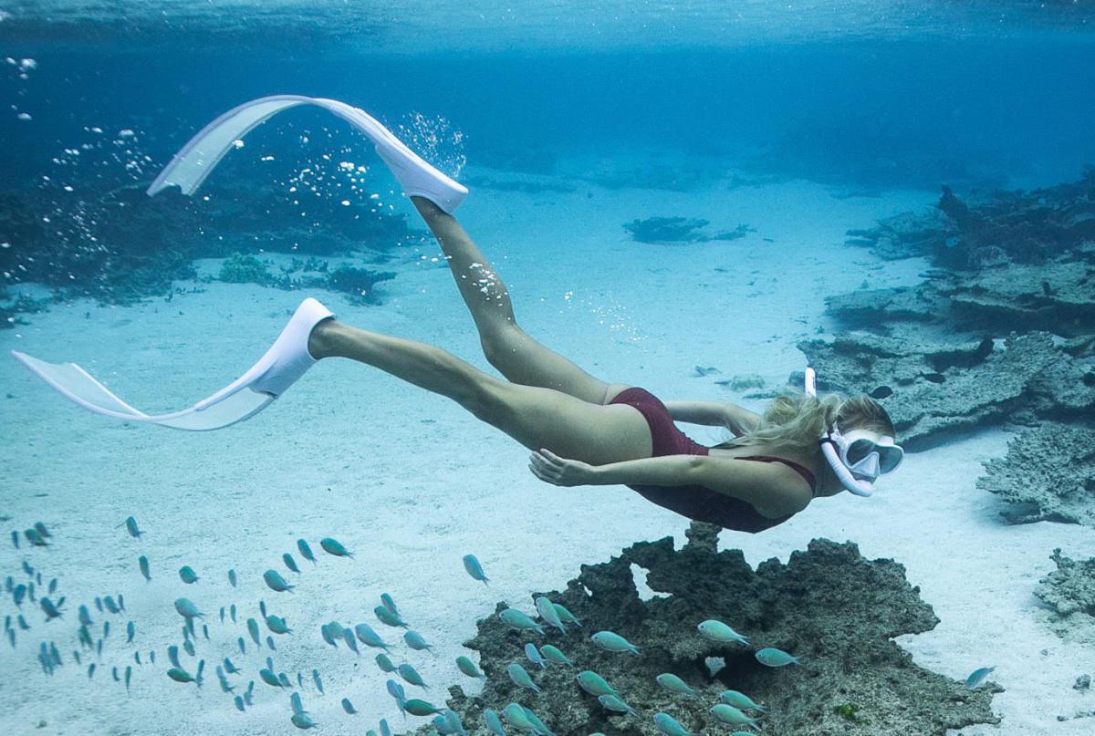 WEST – SPEED BOAT ON PRIVATE BASIS