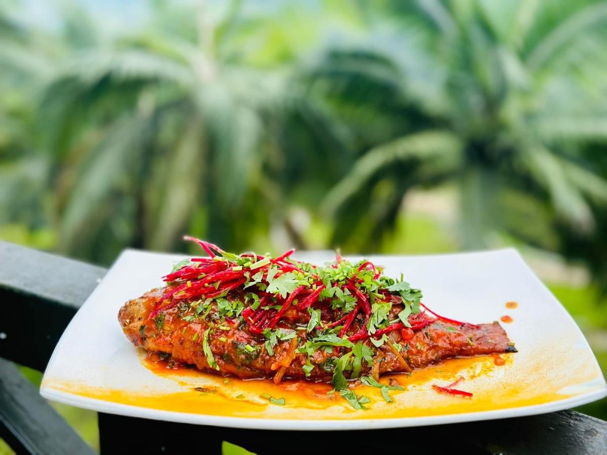 WONDERS OF CHAMAREL ON SHARING BASIS - 25th of July 2026 WONDERS OF CHAMAREL ON SHARING BASIS - 25th of July 2026