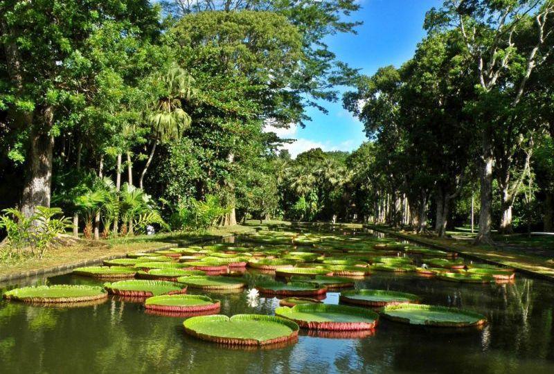 HALF DAY IN PORT LOUIS ON SHARING BASIS - 26th of July 2026 HALF DAY IN PORT LOUIS ON SHARING BASIS - 26th of July 2026