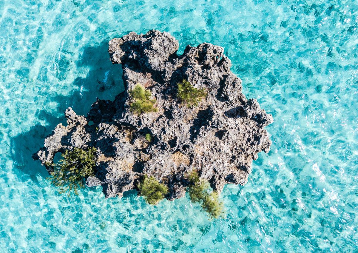 DAY AT SEA ON SHARING BASIS - WEST COAST - 30th July 2026 DAY AT SEA ON SHARING BASIS - WEST COAST - 30th July 2026