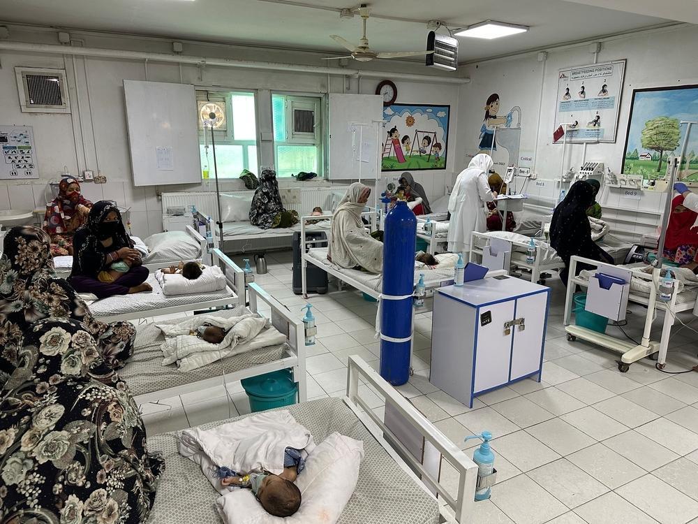Afghanistan, allarme malnutrizione: +30% di ricoveri tra i bambini più piccoli