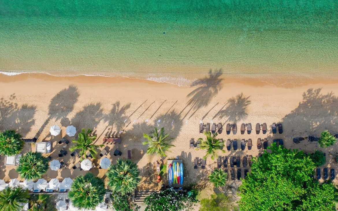 Tomorrowland Thailand: Partybusse wird offizieller Travel Partner