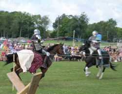 Royal Joust: Renaissance Riders