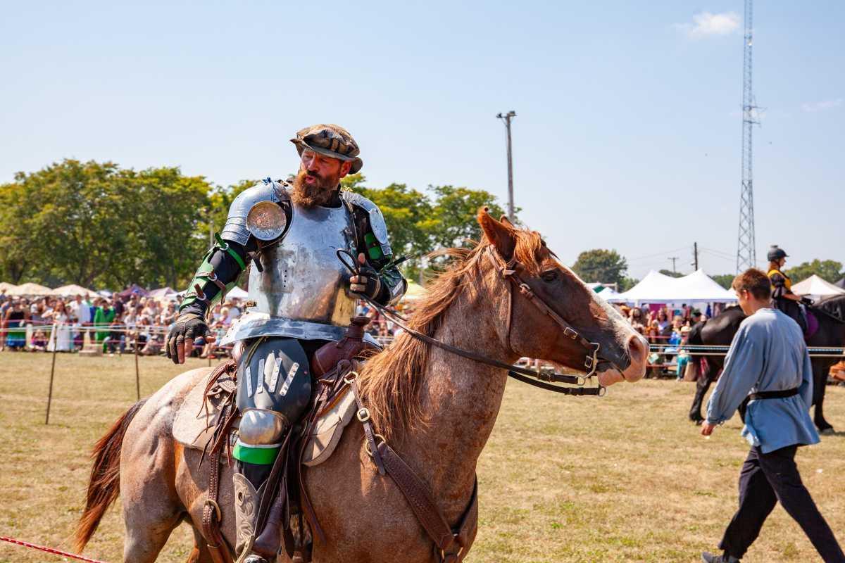Royal Joust: Renaissance Riders