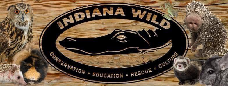Indiana Wild Indiana Wild
