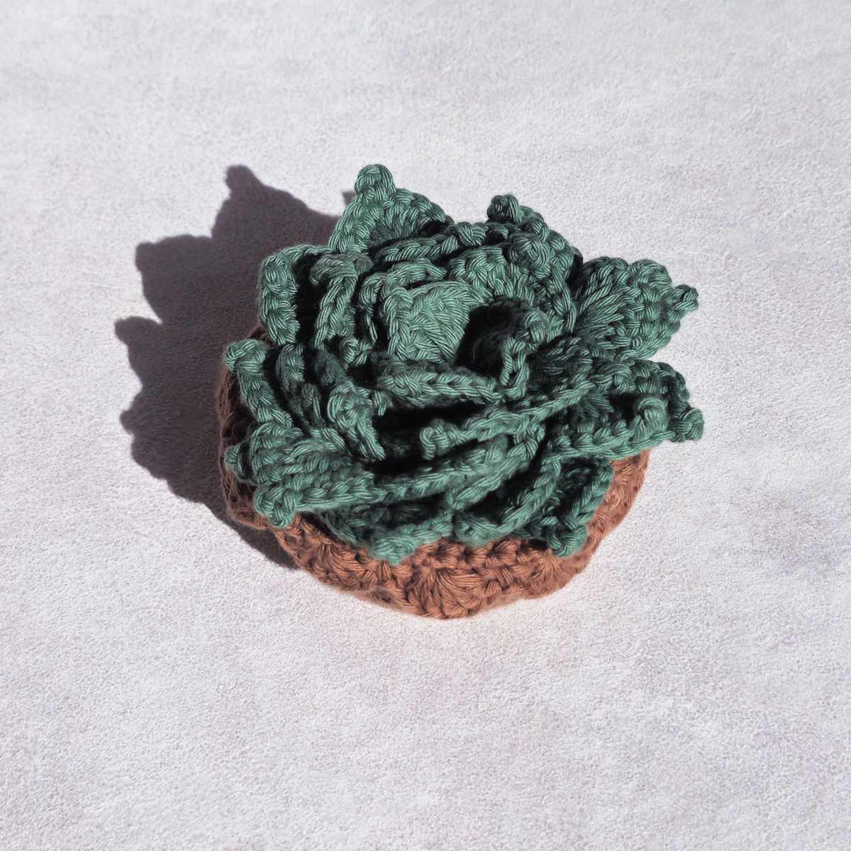 Suculenta | Posavasos Suculenta | Posavasos