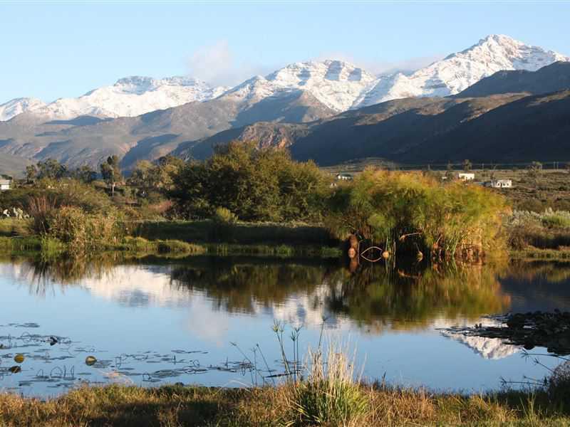 Dag 5: Knysna - Oudtshoorn