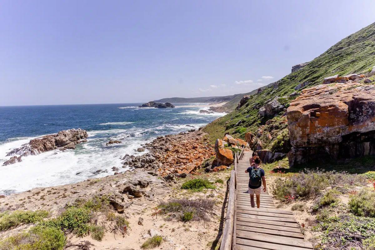 Dag 1: Aankomst George Town - Plettenberg Bay