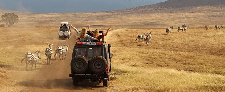 Dag 6: Oudtshoorn - Gondwana Dag 6: Oudtshoorn - Gondwana