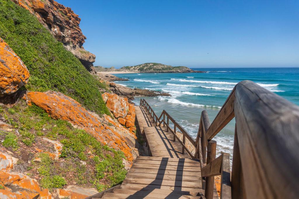 Dag 2: Born in Africa