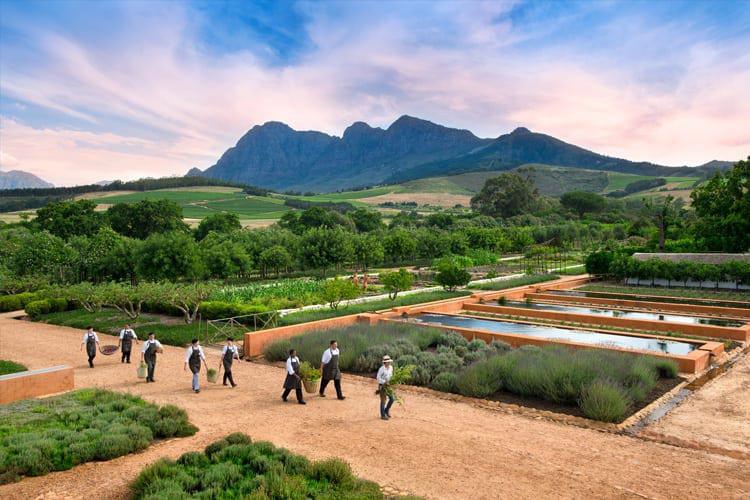 Dag 8: Stellenbosch Dag 8: Stellenbosch