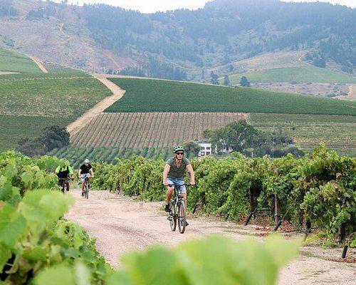 Dag 9: Laatste dag in Stellenbosch