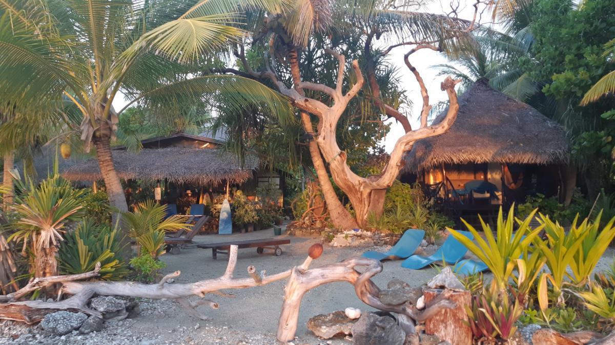 PENSION LE MEROU BLEU