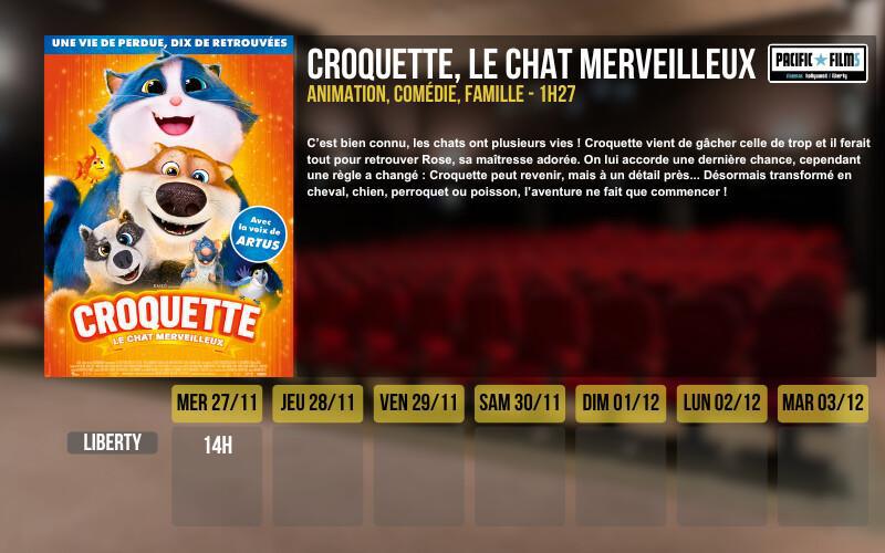 CROQUETTE, LE CHAT MERVEILLEUX