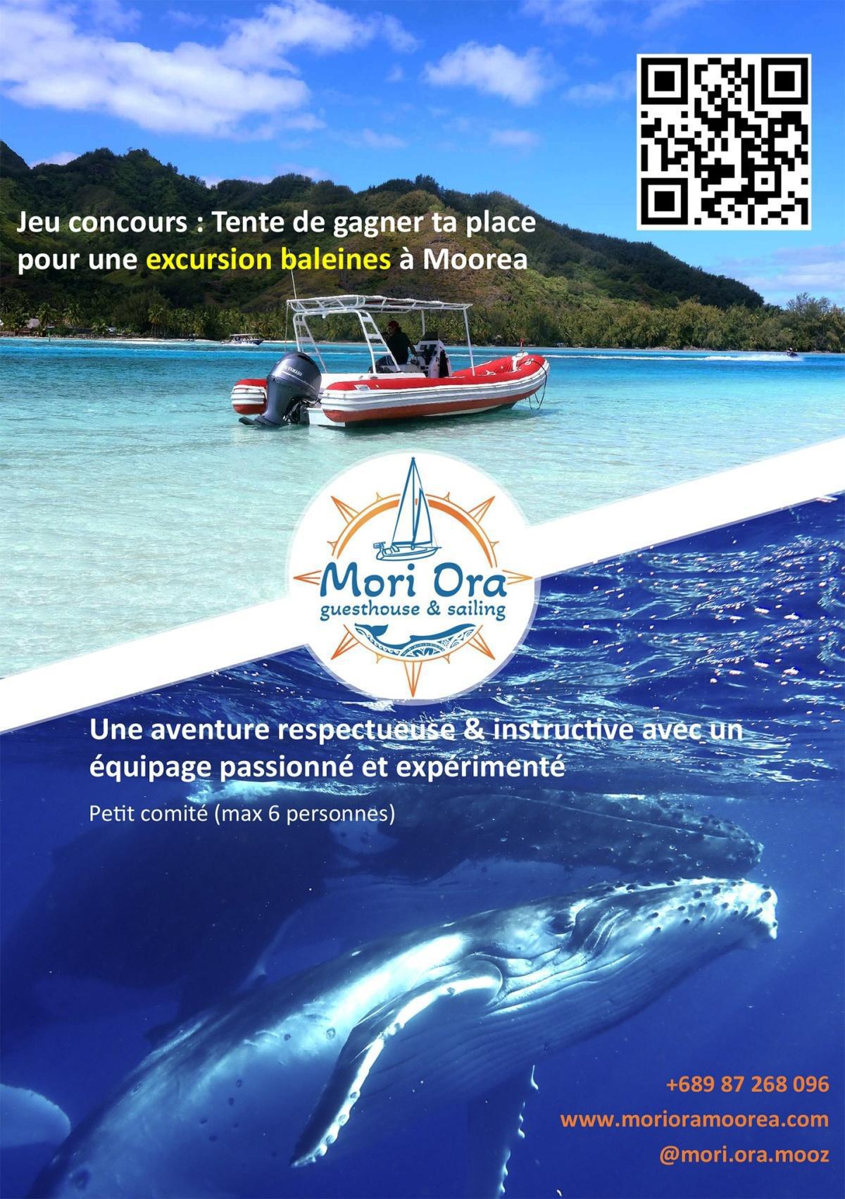 🐋🌺 JEU BIGCE - EXCURSION BALEINES MORI ORA MOOREA🌺🐋