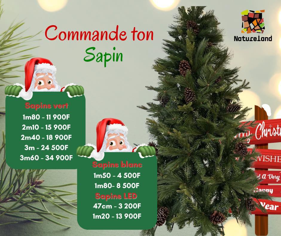 𝐋𝐞𝐬 𝐬𝐚𝐩𝐢𝐧𝐬 𝐬𝐨𝐧𝐭 𝐚𝐫𝐫𝐢𝐯𝐞́𝐬 𝐜𝐡𝐞𝐳 𝐍𝐚𝐭𝐮𝐫𝐞𝐥𝐚𝐧𝐝 ! 🎄