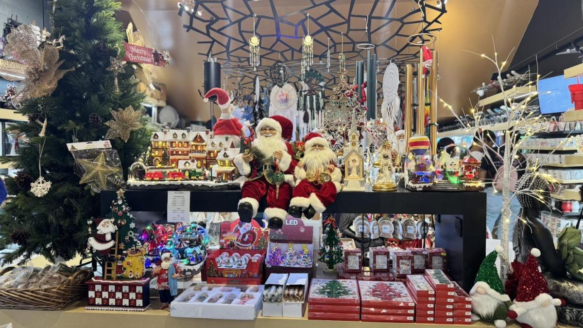 🎄✨PLACE A LA MAGIE DE NOEL AVEC NATURELAND! ✨🎁