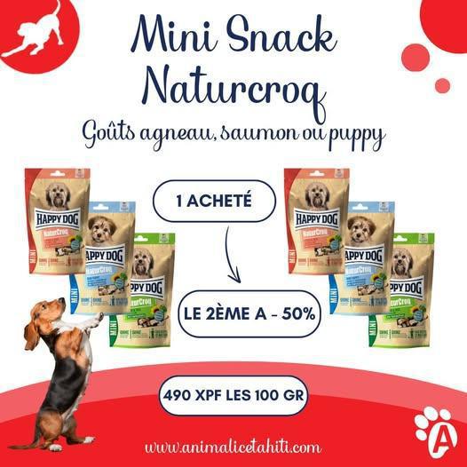 🎉 PROMO DU MOMENT CHEZ ANI'MALICE 🎉