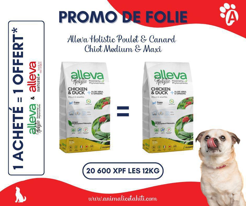 🐾🔥 𝐁𝐎𝐍 𝐏𝐋𝐀𝐍 𝐀𝐋𝐋𝐄𝐕𝐀 𝐜𝐡𝐞𝐳 𝐀𝐧𝐢’𝐌𝐚𝐥𝐢𝐜𝐞 ! 🔥🐾